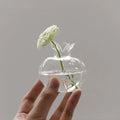 Pomegranate Glass Hydroponic Growth Vessel