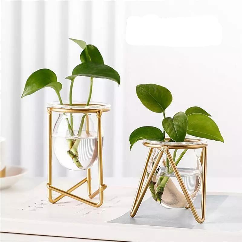 Glass Plant Vase with Metal Stand