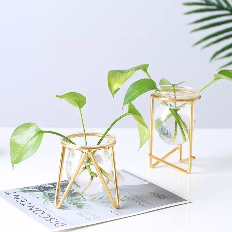 Glass Plant Vase with Metal Stand