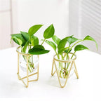 Glass Plant Vase with Metal Stand