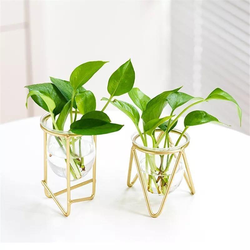 Glass Plant Vase with Metal Stand