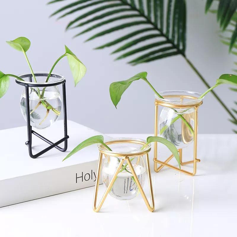 Glass Plant Vase with Metal Stand