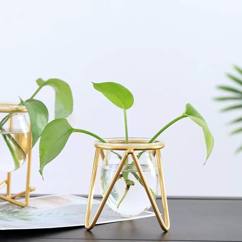 Glass Plant Vase with Metal Stand
