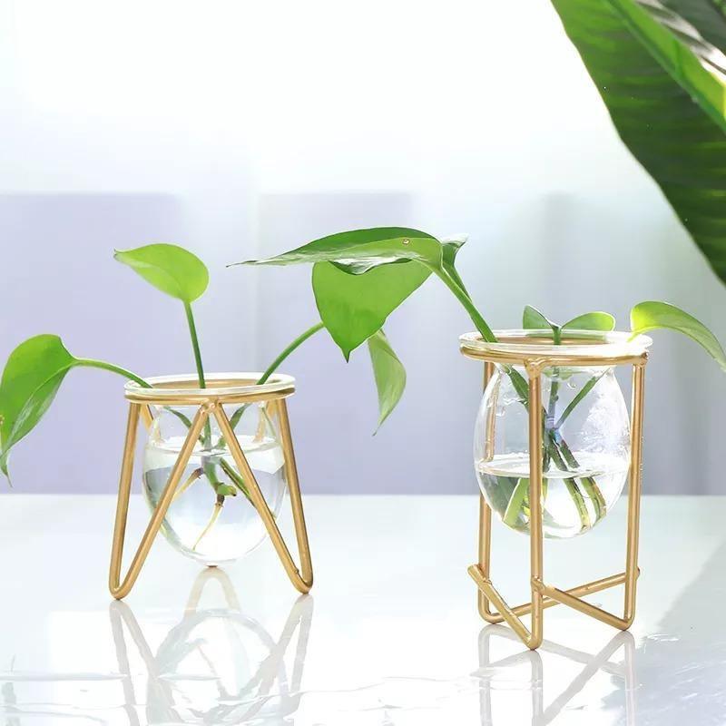 Glass Plant Vase with Metal Stand