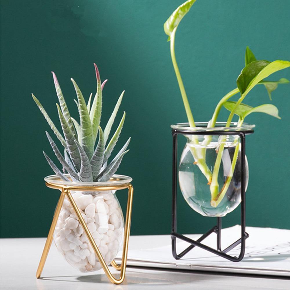 Glass Plant Vase with Metal Stand