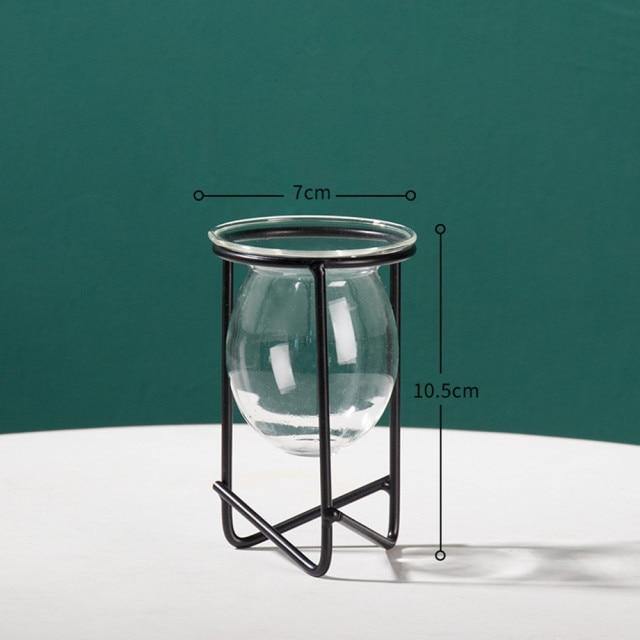 Glass Plant Vase with Metal Stand