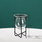 Glass Plant Vase with Metal Stand