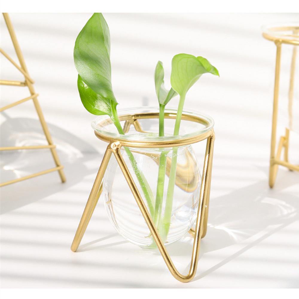 Glass Plant Vase with Metal Stand