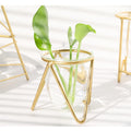 Glass Plant Vase with Metal Stand